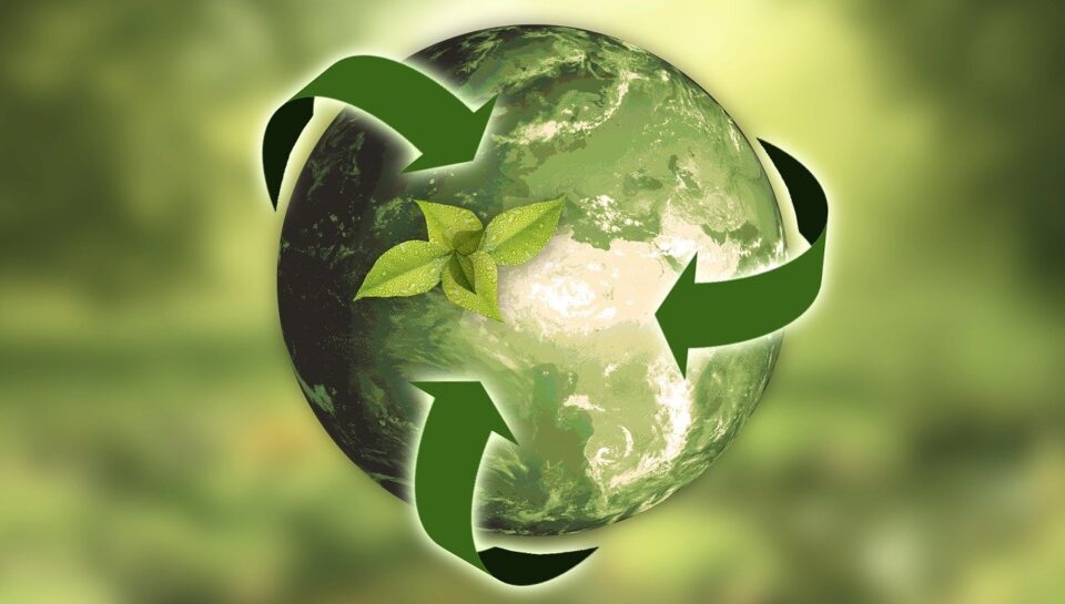 nature, earth, sustainability-3294632.jpg
