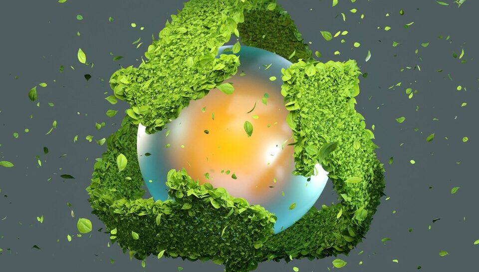 recycle, sustainability, leaves-5591472.jpg